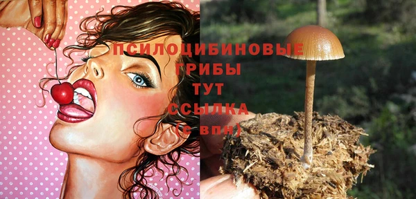 jwh Кукмор
