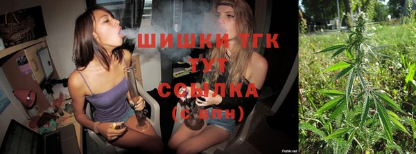 дживик Кулебаки