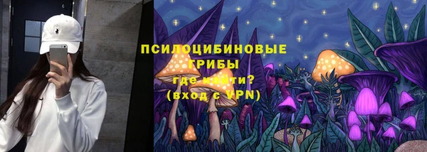 дживик Кулебаки