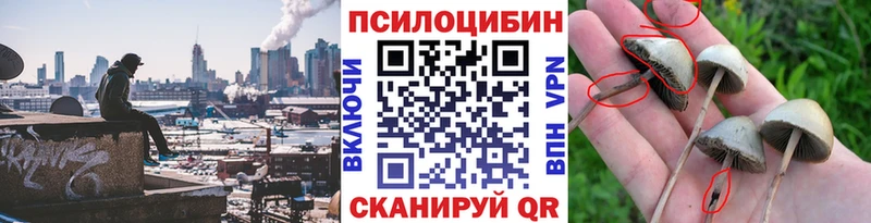 Галлюциногенные грибы мицелий  закладка  Людиново 